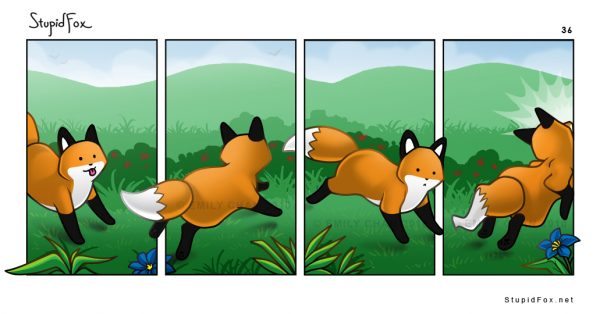fox8