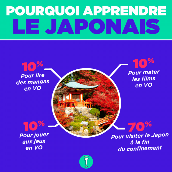 Voyage infographies camemberts japon2