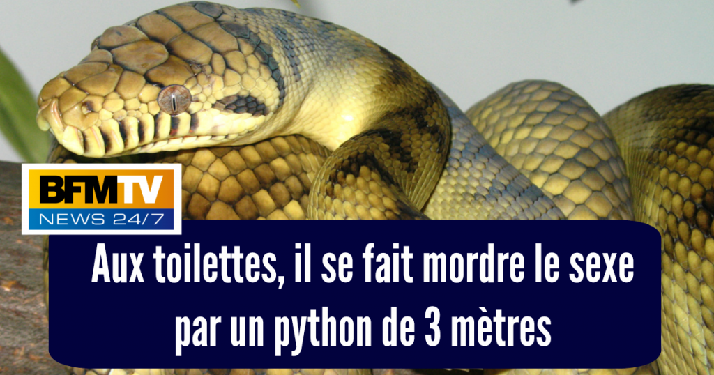 Top 10 villes les plus cosmopolites du monde, celles où l’on voyage en