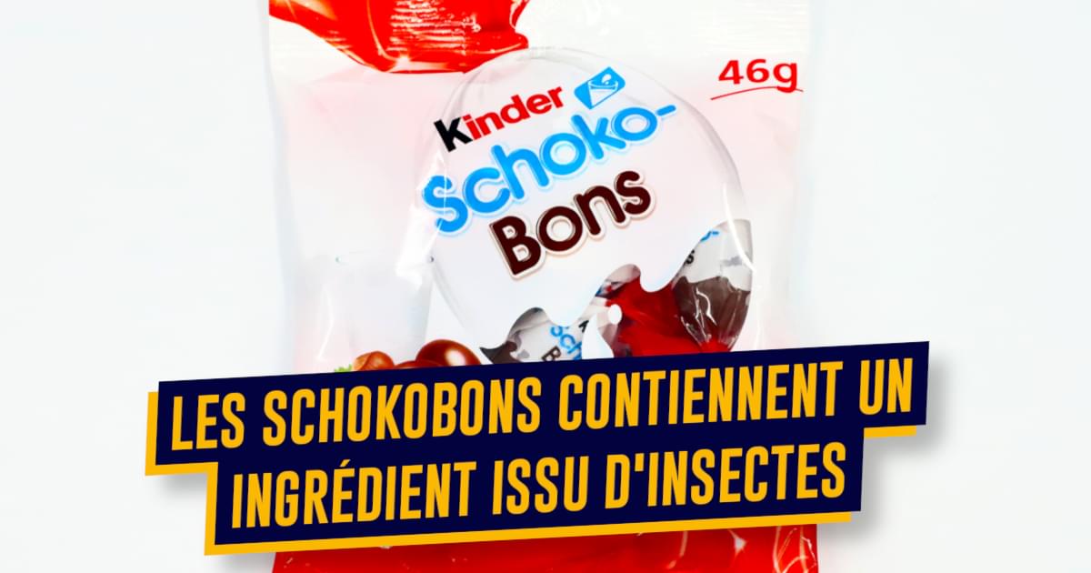 Sécrétions d'insectes dans les Schokobons de Kinder : l'ingrédient