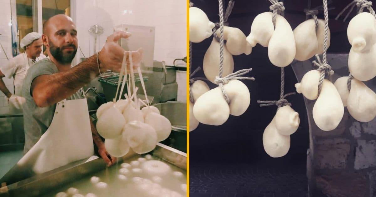 Un atelier pour fabriquer sa mozzarella, l’idée cadeau parfaite