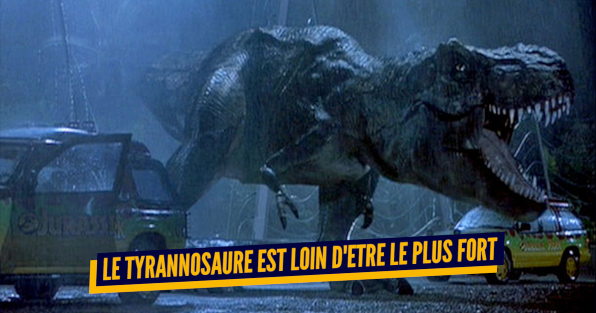 Top 12 des Dinosaures marins  Rex Le Dino – Rex Le Dinosaure