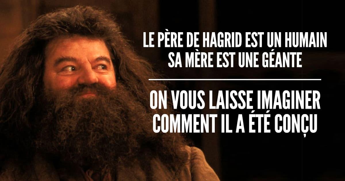 Harry Potter : 10 choses à savoir sur les baguettes magiques que