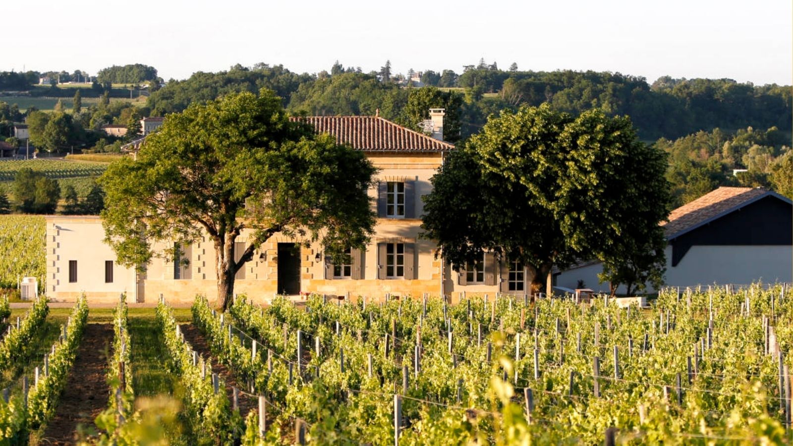 Une carte cadeau Rue des Vignerons, une expérience oenologique à offrir pour la fête des Mères