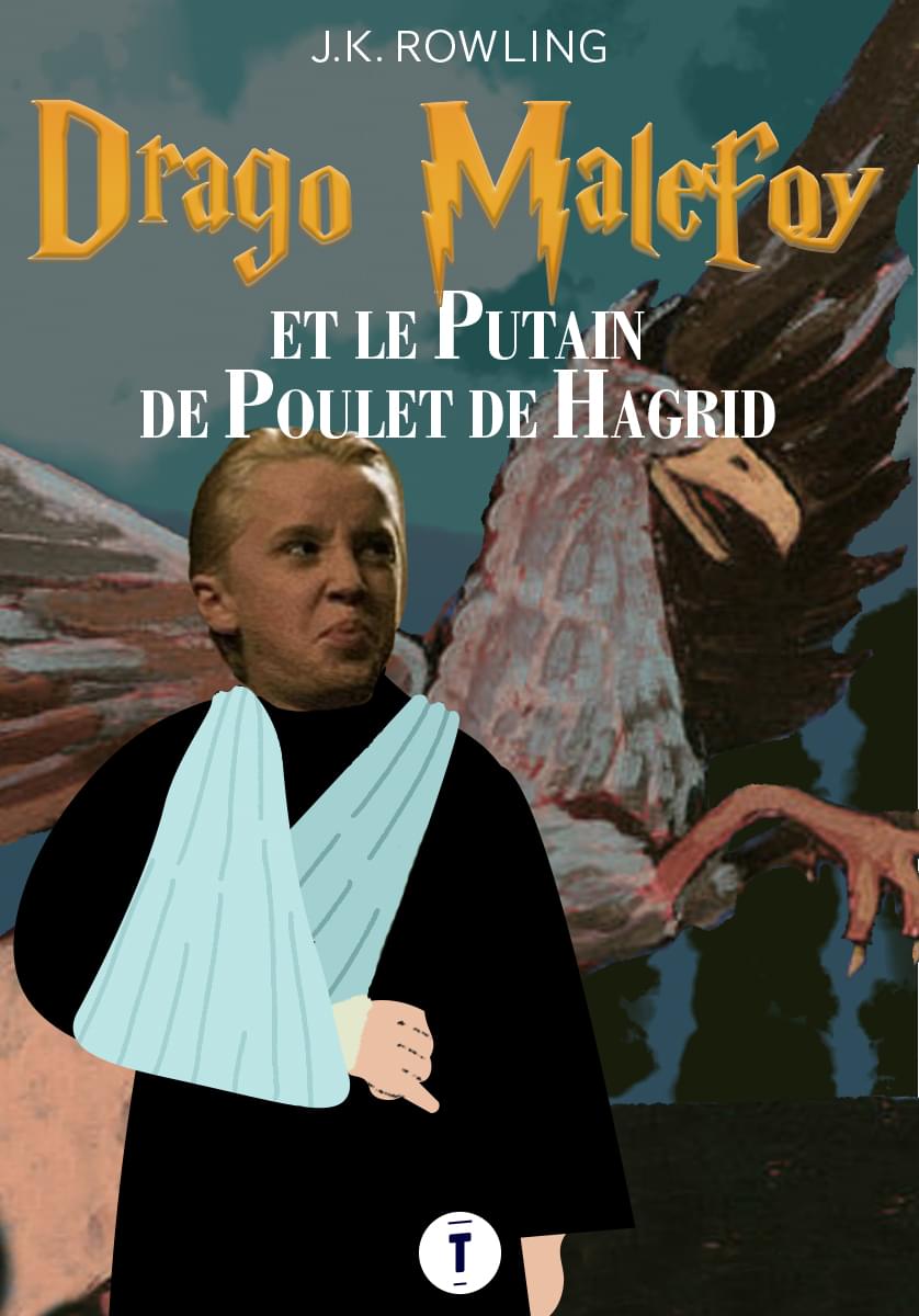 Top 7 des livres Harry Potter selon Drago Malefoy, c’est lui le vrai héros Topito