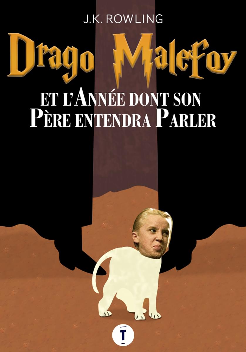 Top 7 des livres Harry Potter selon Drago Malefoy, c’est lui le vrai héros Topito