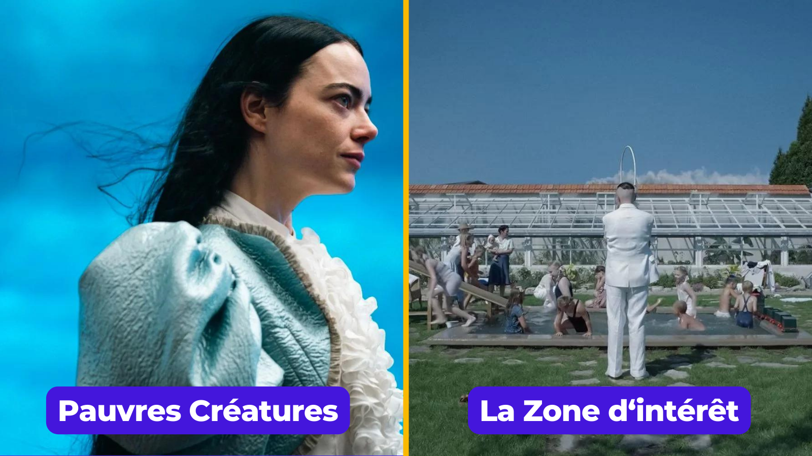Top 15  des meilleurs films 2024, la crème du cinoche