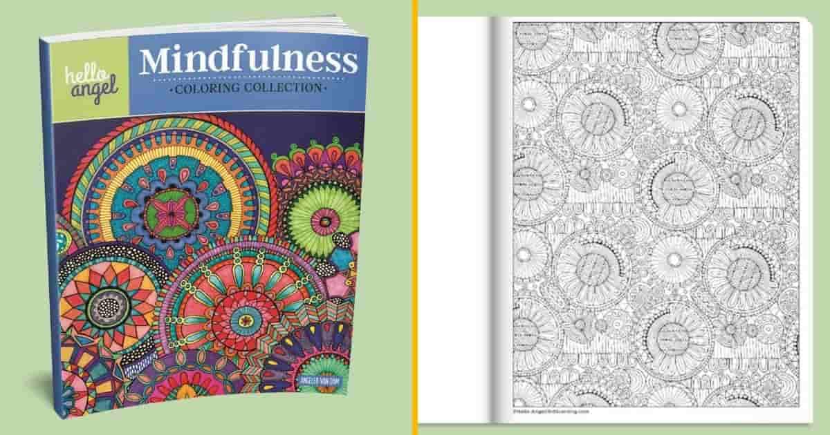 Top 30+ des meilleurs mandalas, les livres de coloriages pour adultes qui  font passer le temps