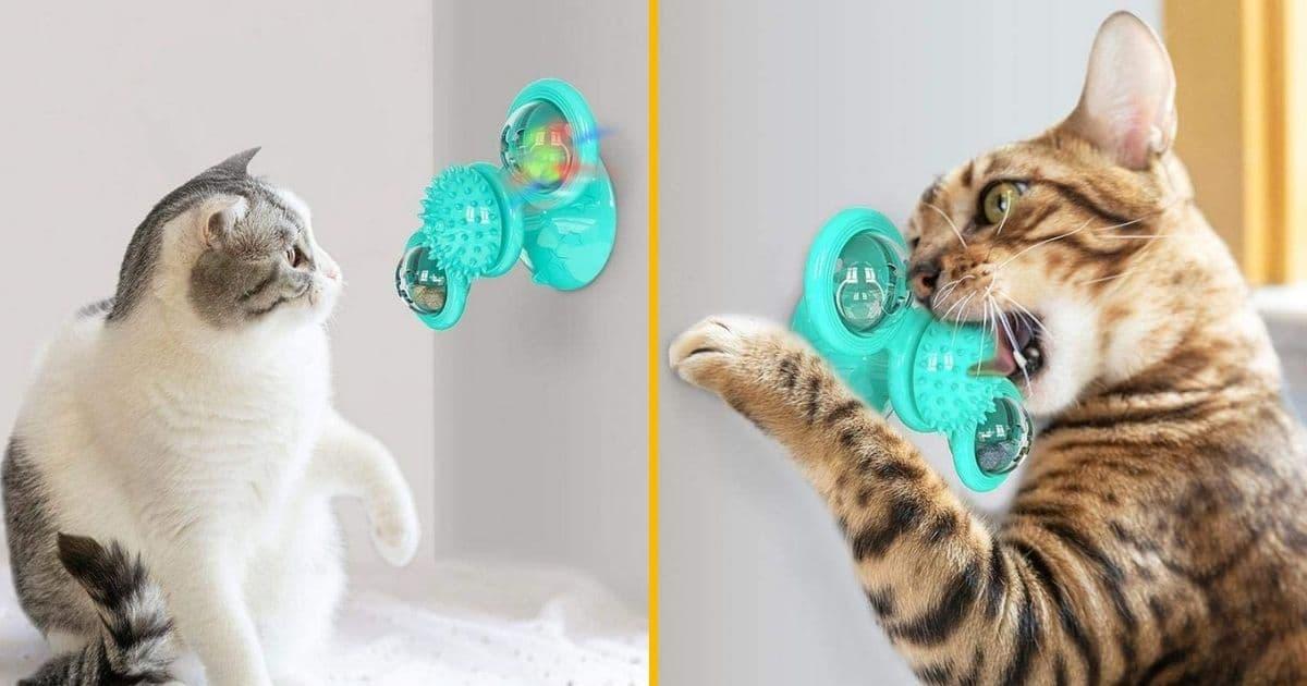 Top 30+ jouets pour chats et chatons originaux, pour occuper votre