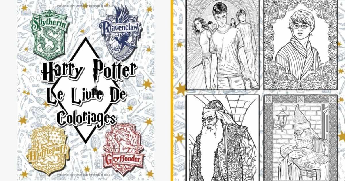Top 25+ livres de coloriages Harry Potter