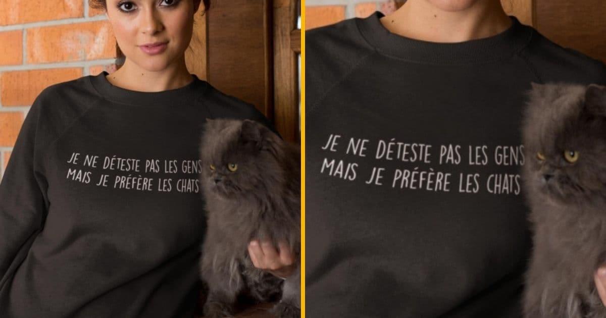 Sweat je préfère chats