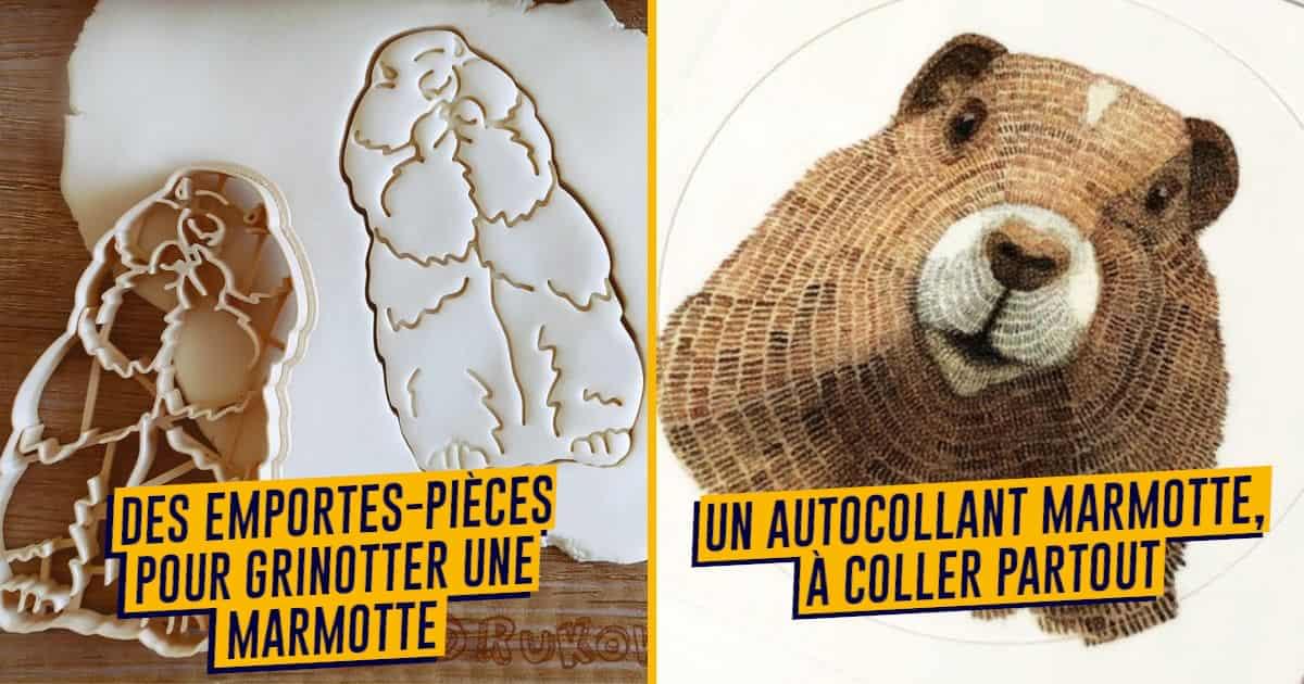Infusion des Marmottes tea 30 pcs, Les 2 Marmottes