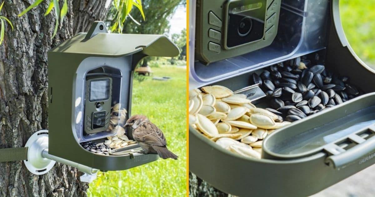 Mangeoire à oiseaux transparente avec caméra, mangeoire à oiseaux