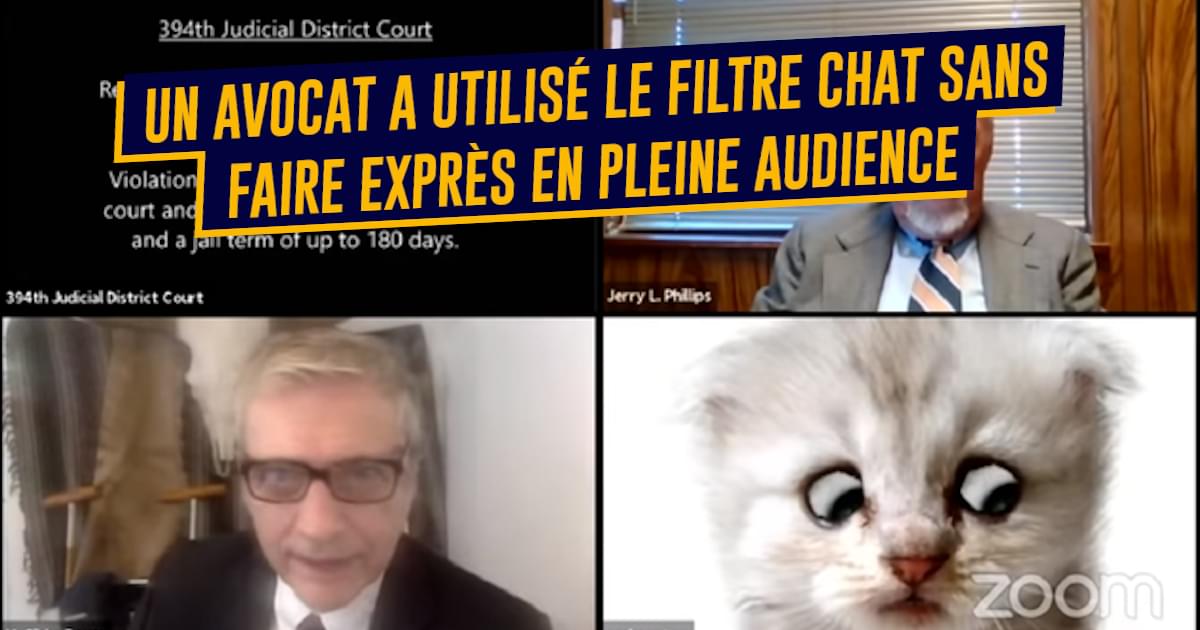 Top 10 des plus gros fails de visio, c’est pas facile pour tout le monde