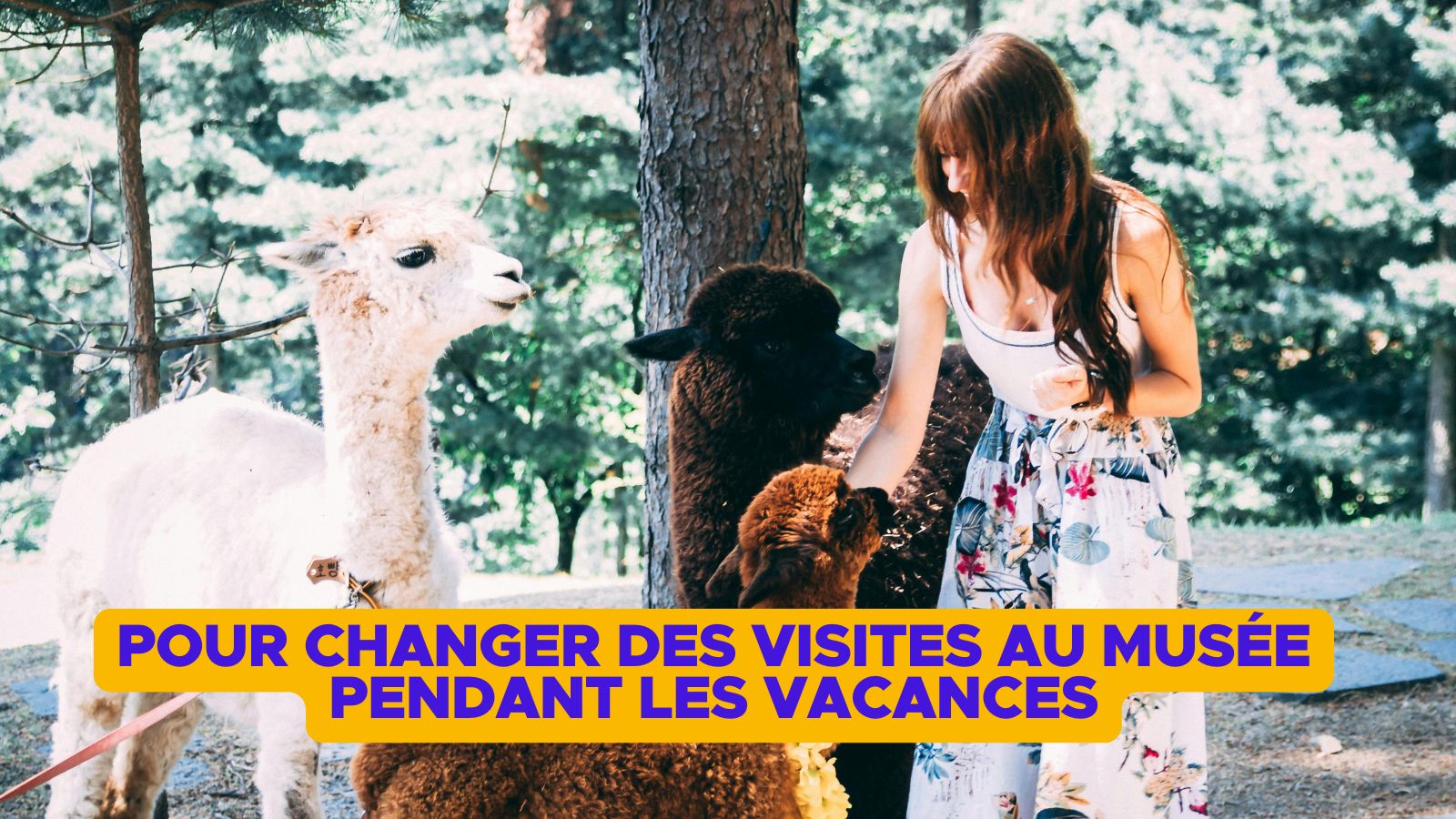 Top 25+ des activités insolites avec les animaux, nos meilleurs amis