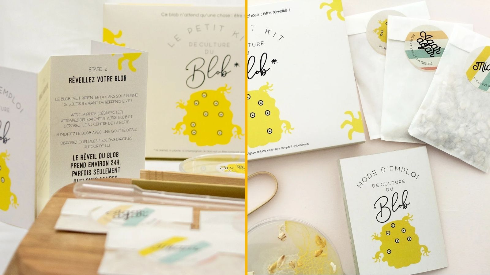 Un kit pour faire grandir son propre blob à la maison