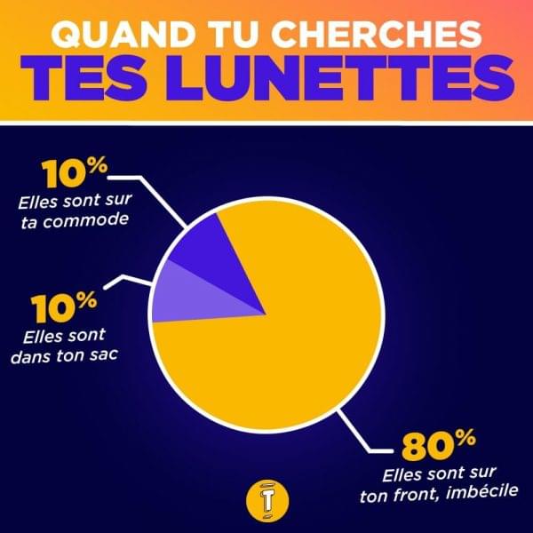 Shopping infographies camemberts lunettes
