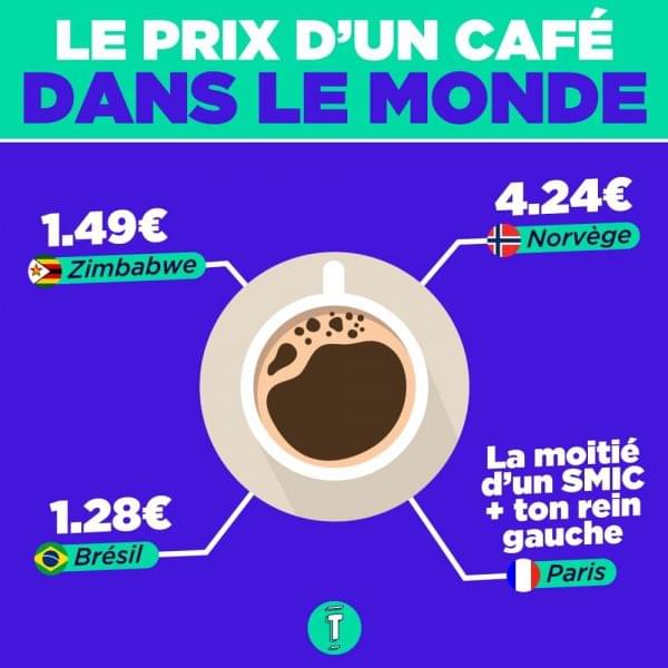 Voyage infographies camemberts cafe