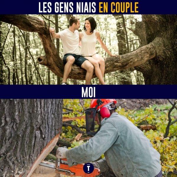 Topito carre vs arbre couple