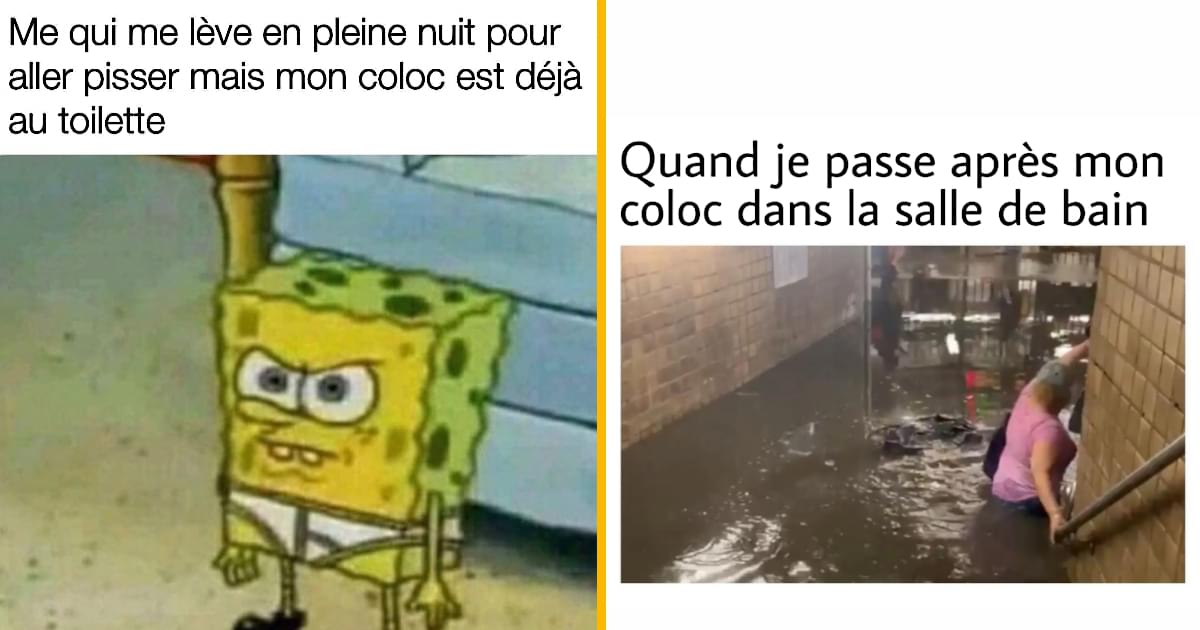 Top 17 des memes sur les colocs, ces personnes qui font assez peu la ...