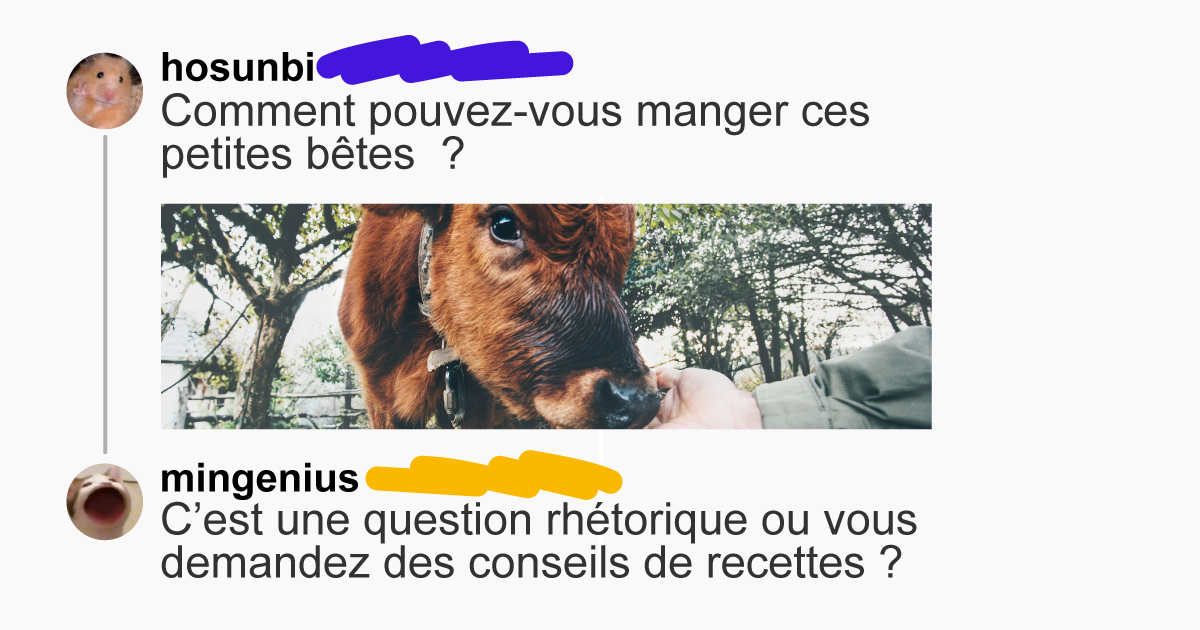 Top 18 des commentaires les plus drôles de l’histoire d’internet, par ...