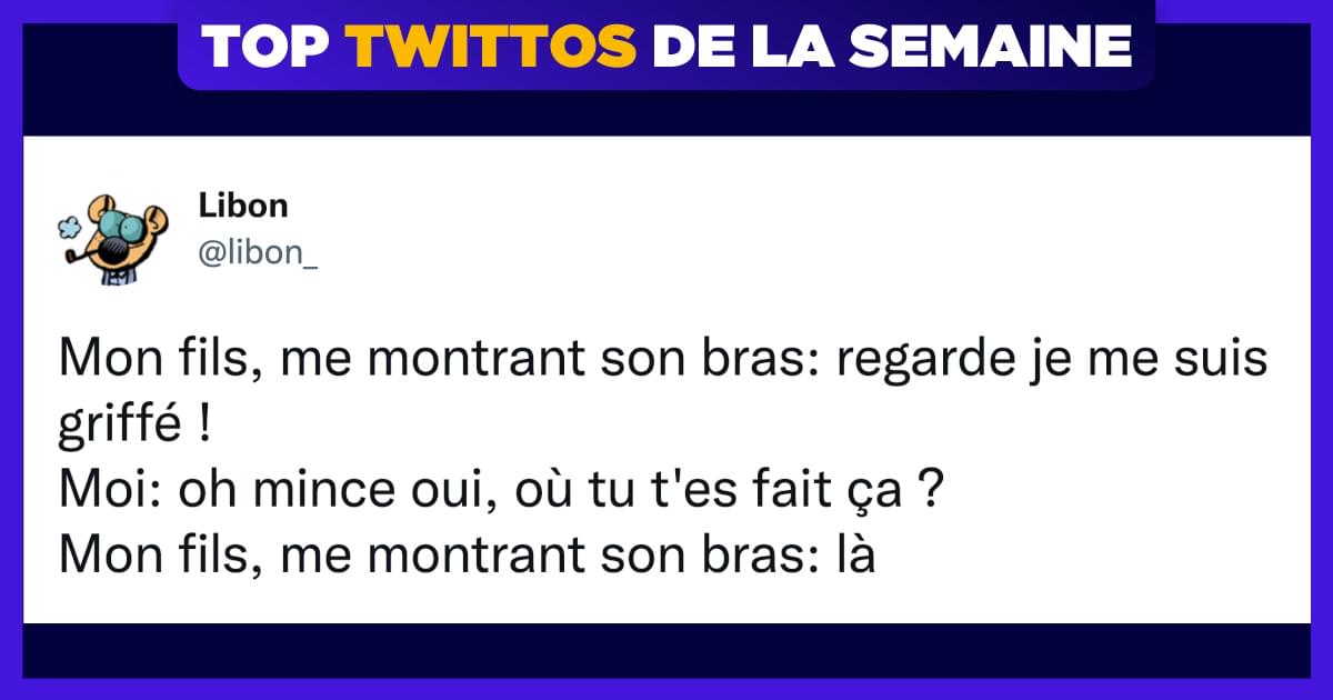 Top 15 des meilleurs tweets de @libon_, ça fait toujours du bien de rire un peu