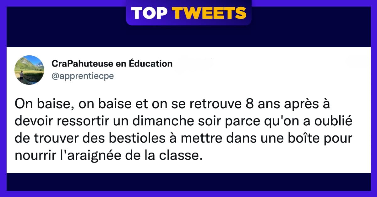 Top 10 des meilleurs tweets sur le dimanche, un jour presque parfait