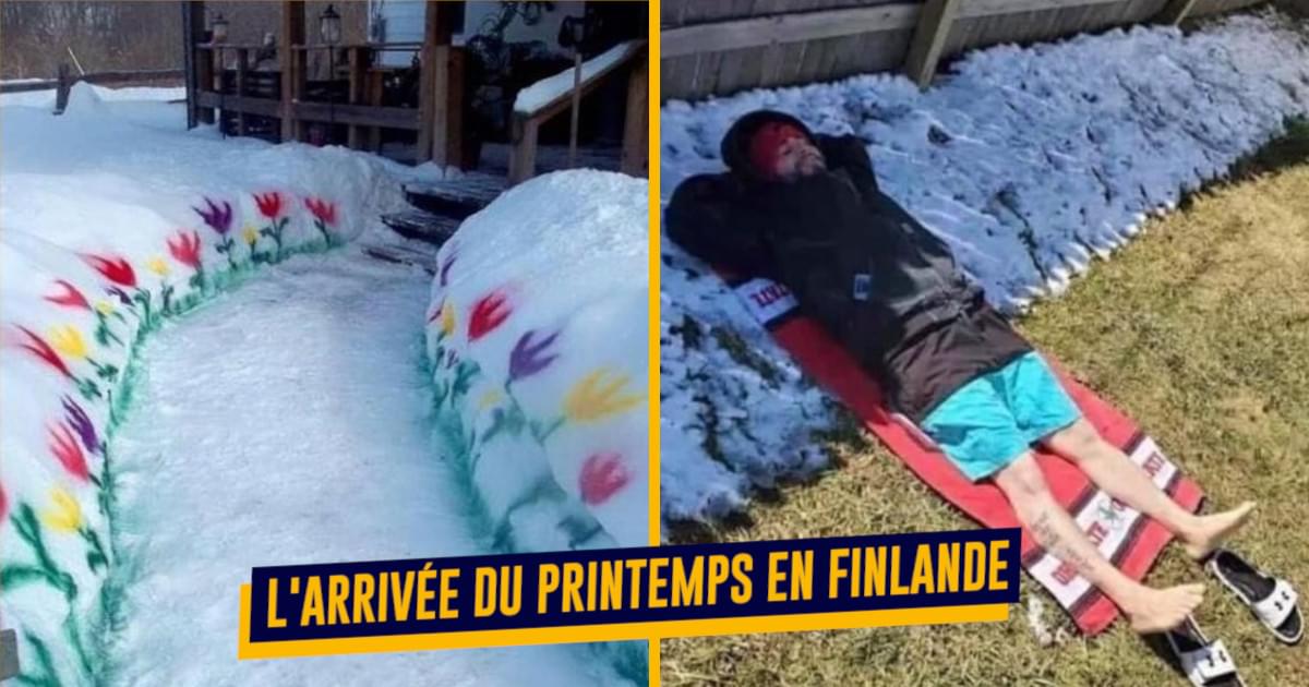 Top 20 des images qui résument bien la vie en Finlande, fait frooooid