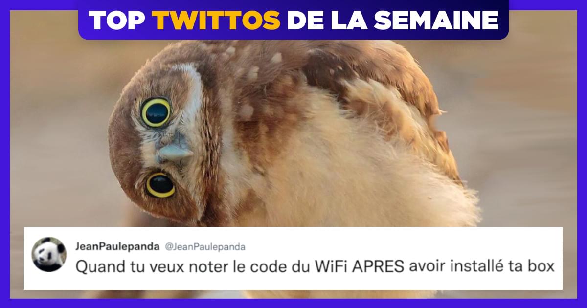 Top 20 des meilleurs tweets de @JeanPaulepanda, un as du storytelling