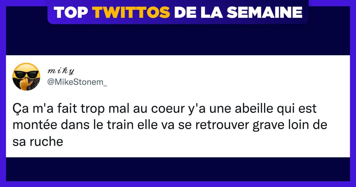 Top 13 des meilleurs tweets de @MikeStonem_