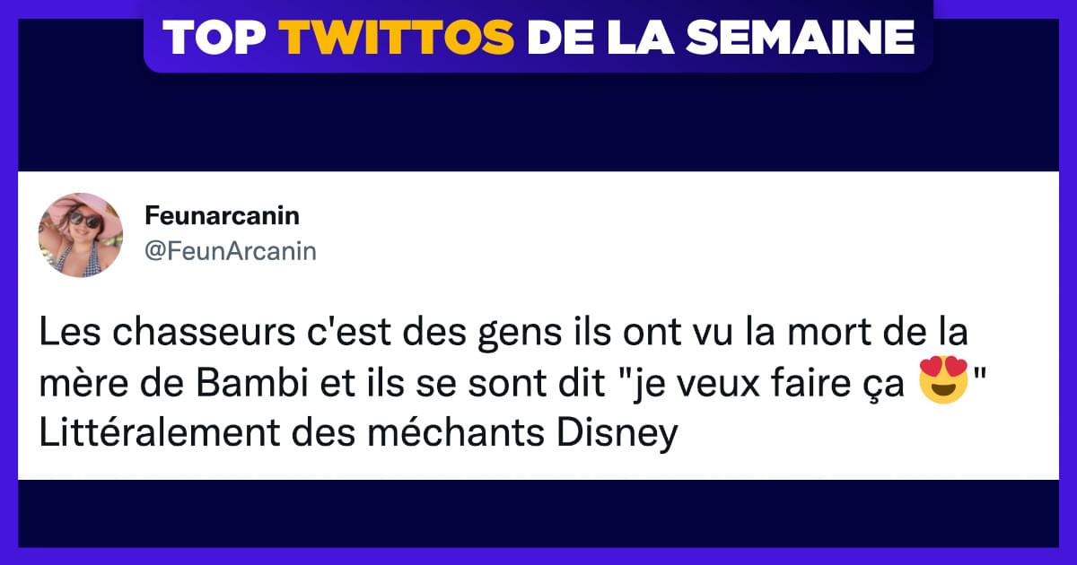 Top 15 des meilleurs tweets de @FeunArcanin (afin de rire un bon coup)