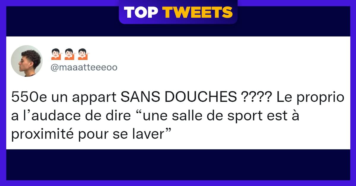 Top 19 des tweets dr les sur les propri taires ces gens qui aiment