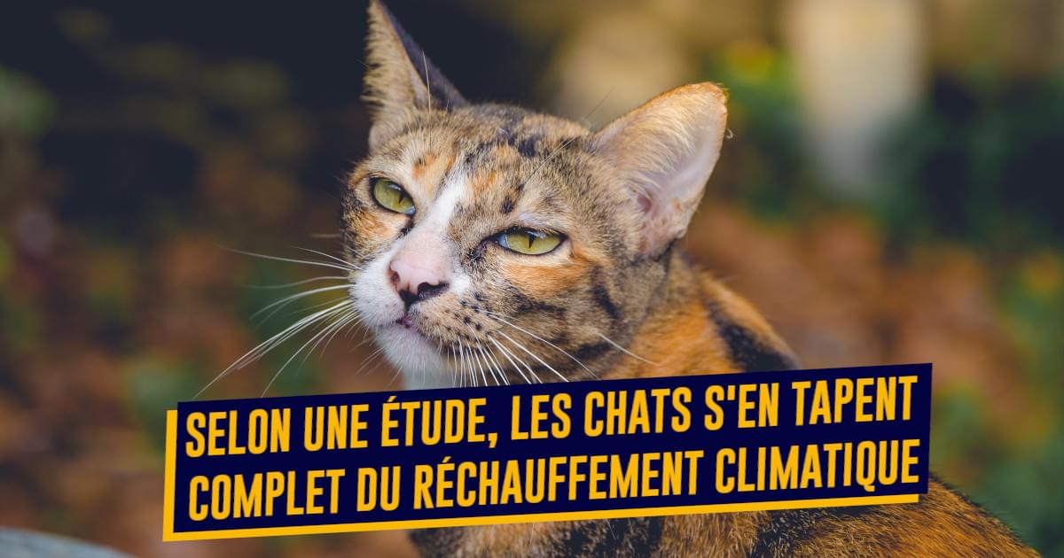 Quels animaux survivront au dérèglement climatique ? - Sciences et