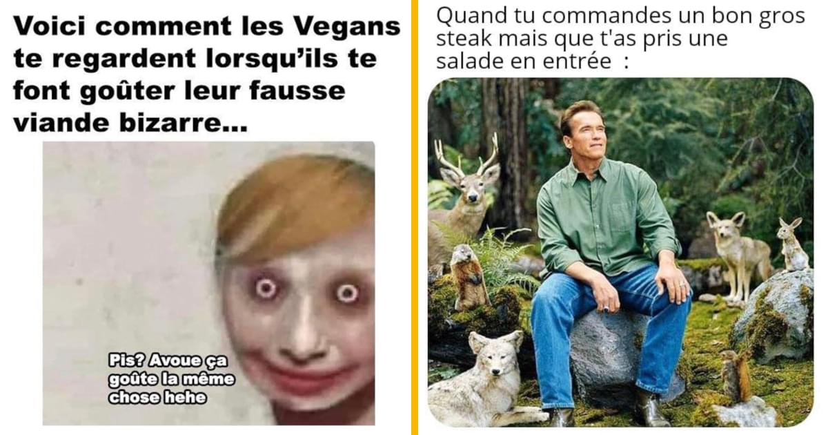 Top 20 des meilleurs memes sur la viande, on peut s’en passer ou pas