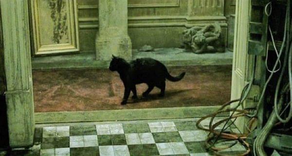 The cat scene in The Matrix