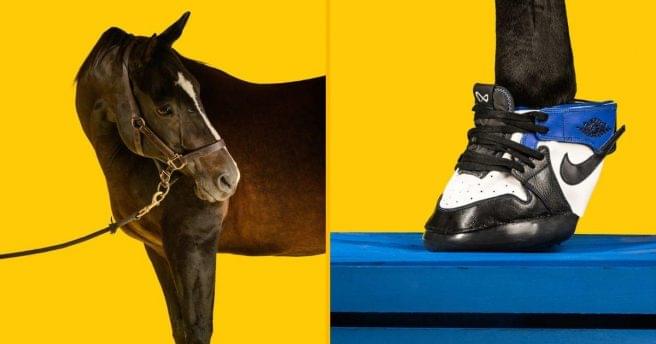 Sneakers pour chevaux