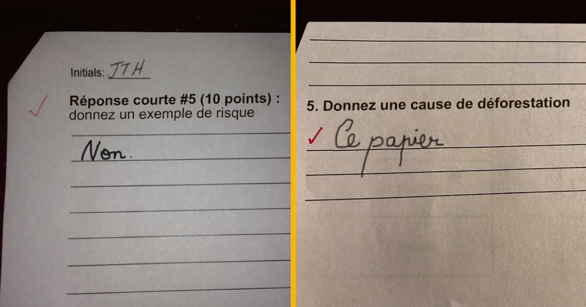 Top 16 des réponses les plus drôles d’élèves à des questions d’exam