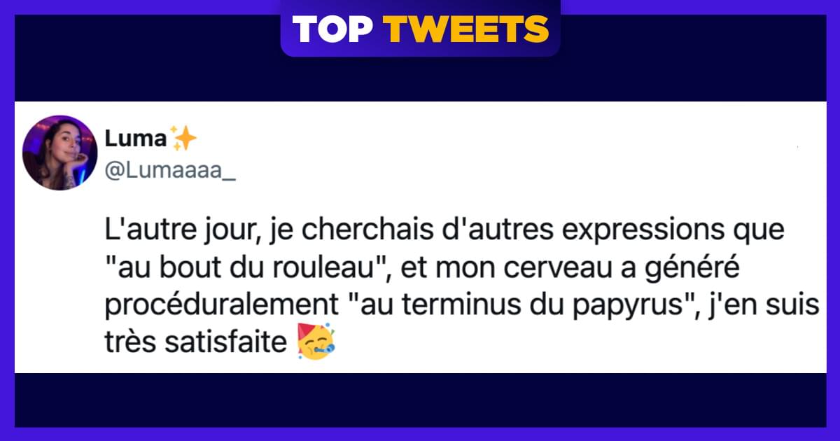 Top 14 des meilleurs tweets sur les proverbes français, pierre qui roule et tout le bordel