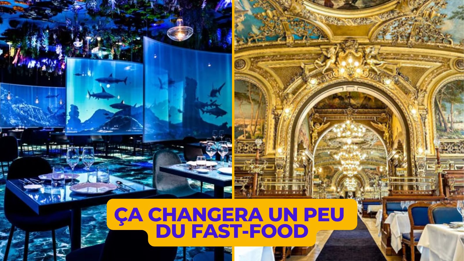 Top 75+ des restaurants insolites de Paris, les plus originaux et atypiques