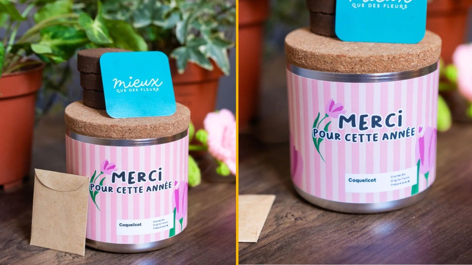 Un kit à planter Merci pour cette année