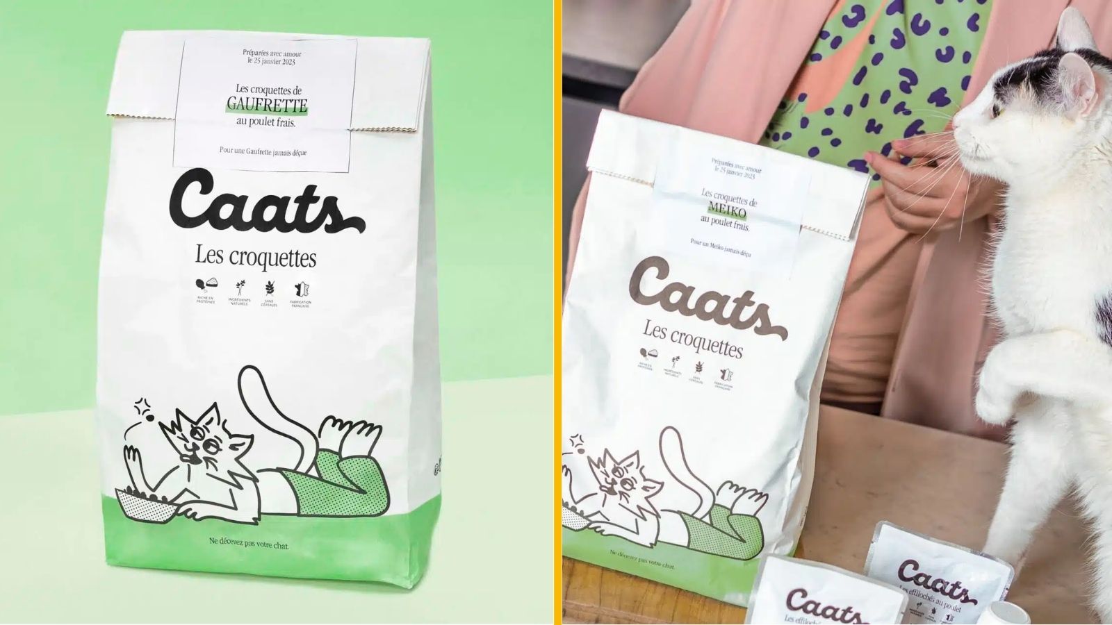 Des croquettes allégés pour chat en surpoids, pour nos jolis et gros matous