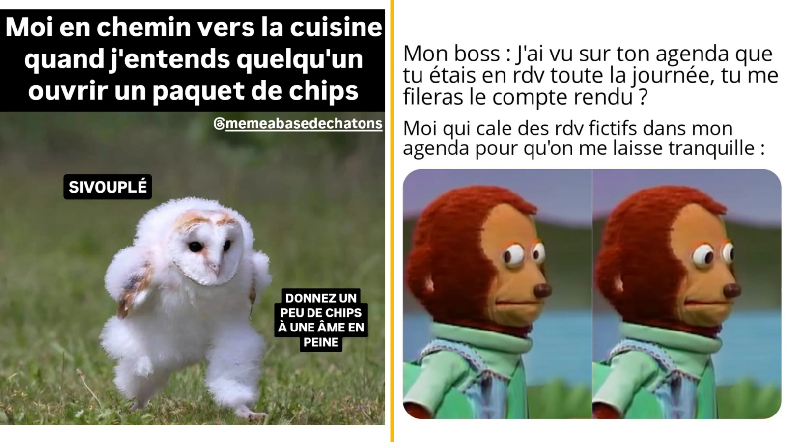 Top 10 des meilleurs memes de la semaine, épisode 84