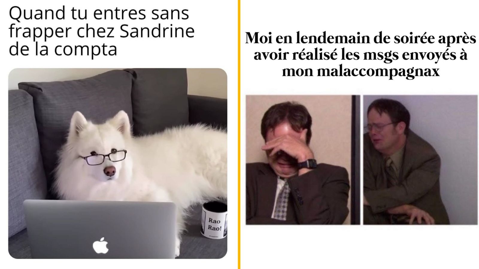 Top 10 des meilleurs memes de la semaine, épisode 85