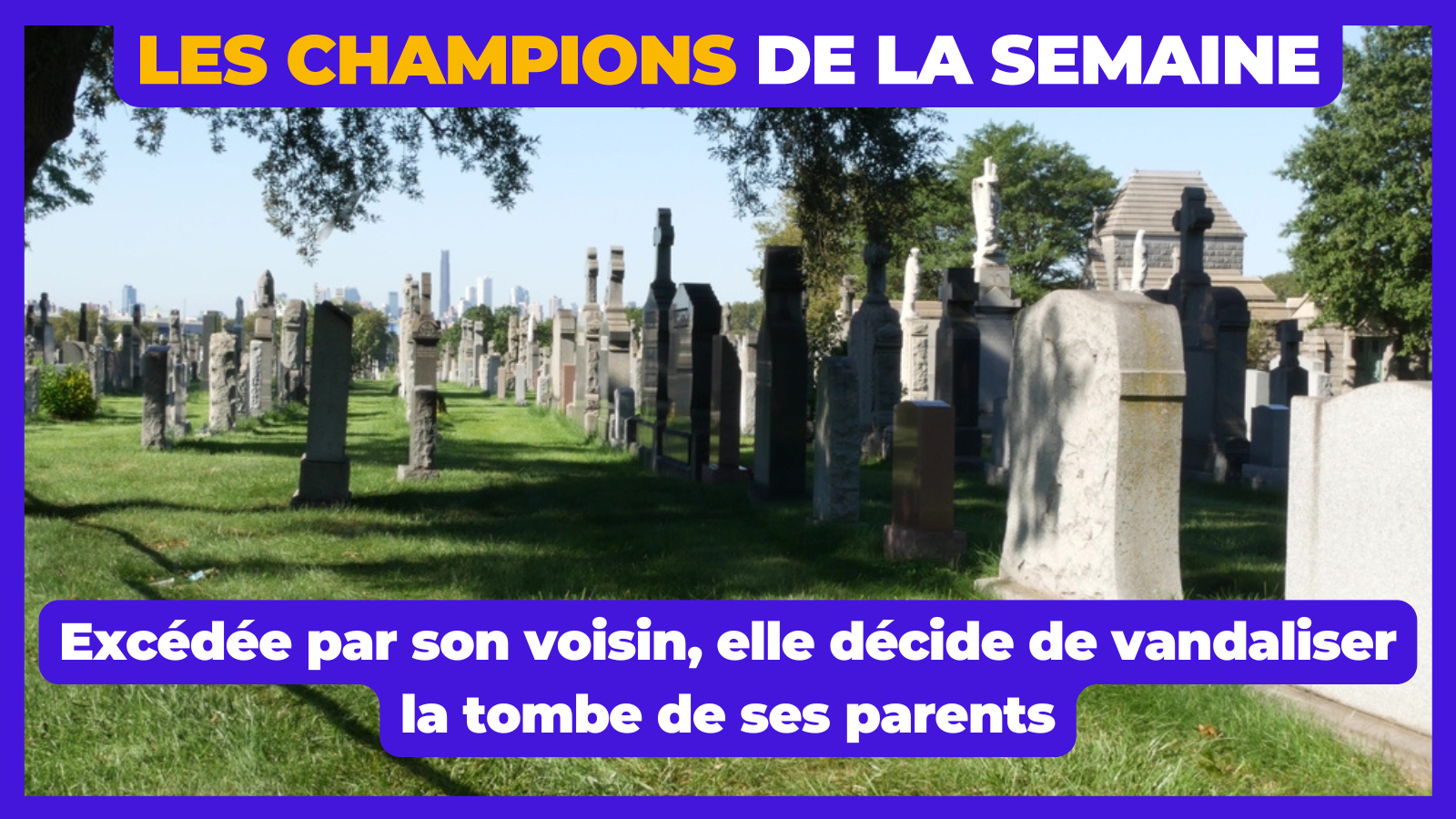 Top 10 des faits divers les plus débiles, les champions de la semaine #530