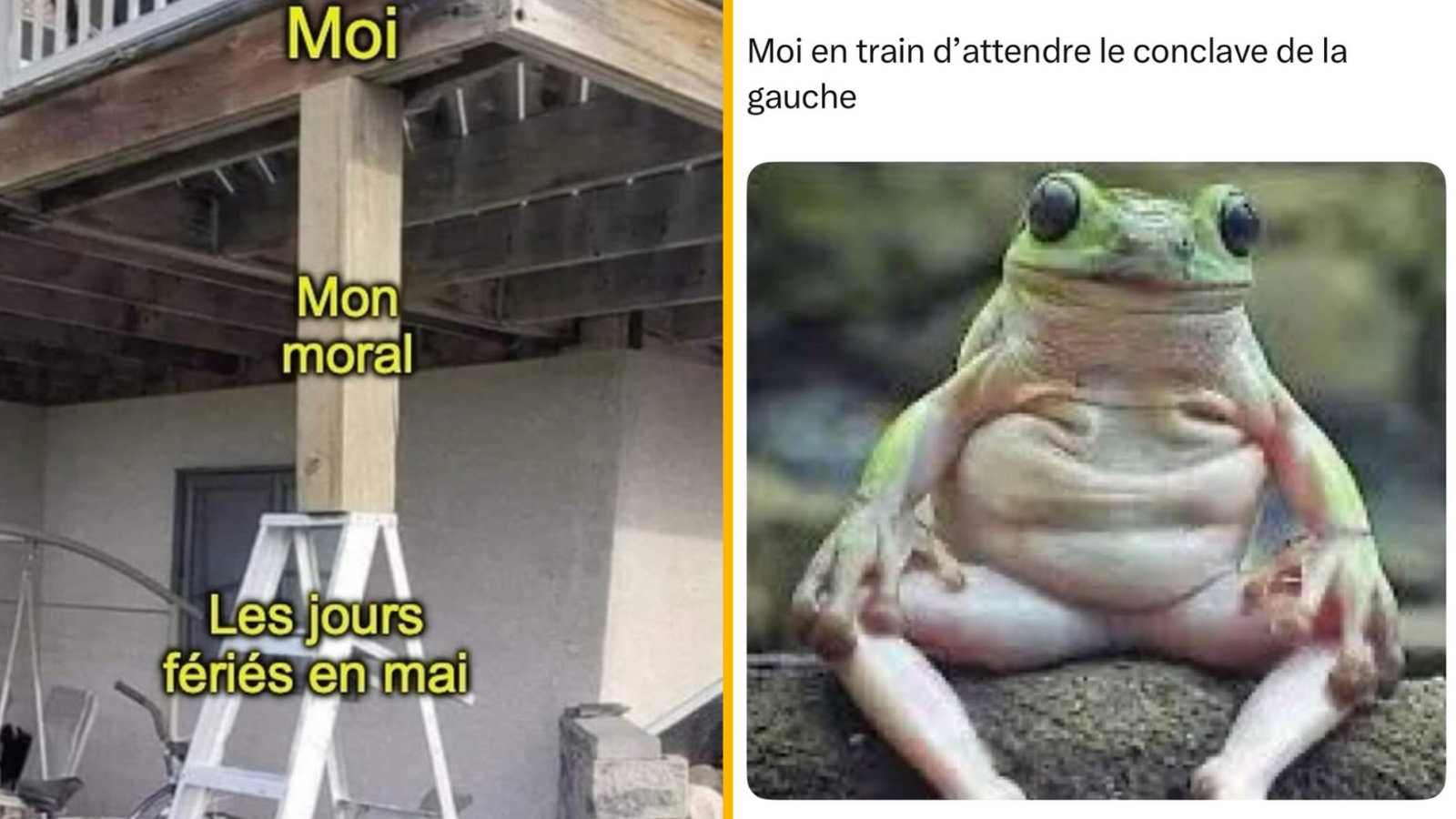 Top 10 des meilleurs memes de la semaine, épisode 95