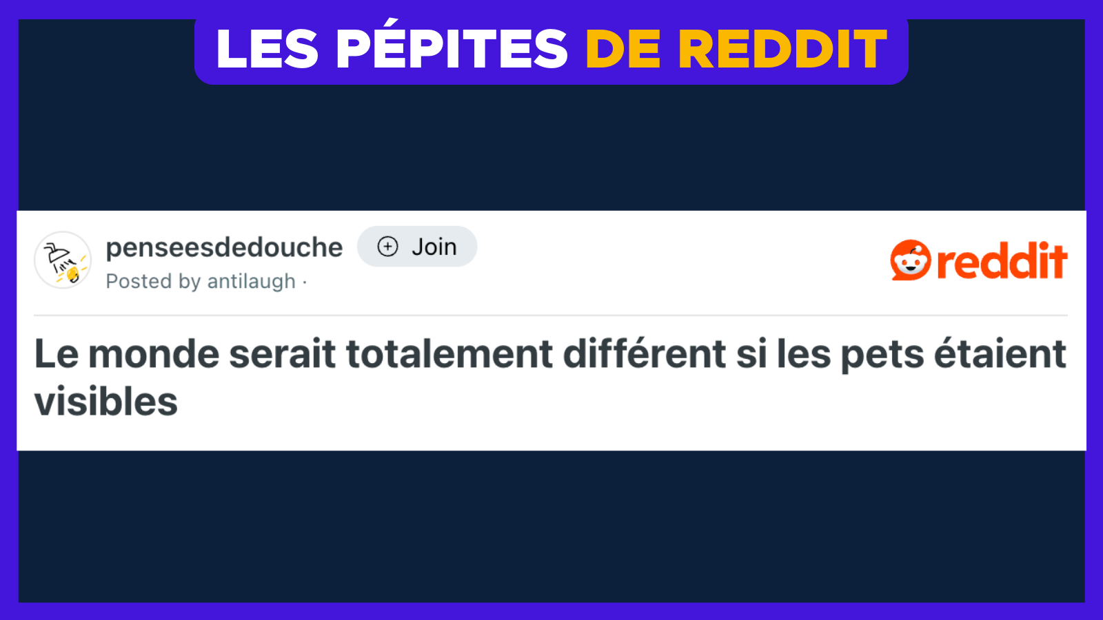 Top 10 des pépites de Reddit, le meilleur des forums #1